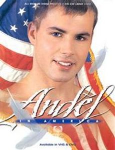 Andel in America