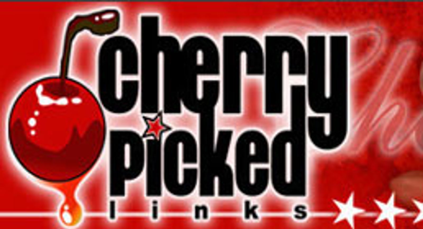 CherryPickedLinks.com Webmaster Publishes How-To E-Book