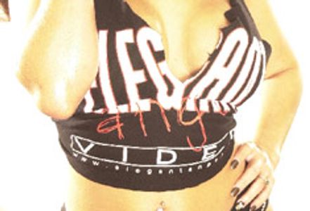 Elegant Angel Adds New Directors and Will Double Production in 2004