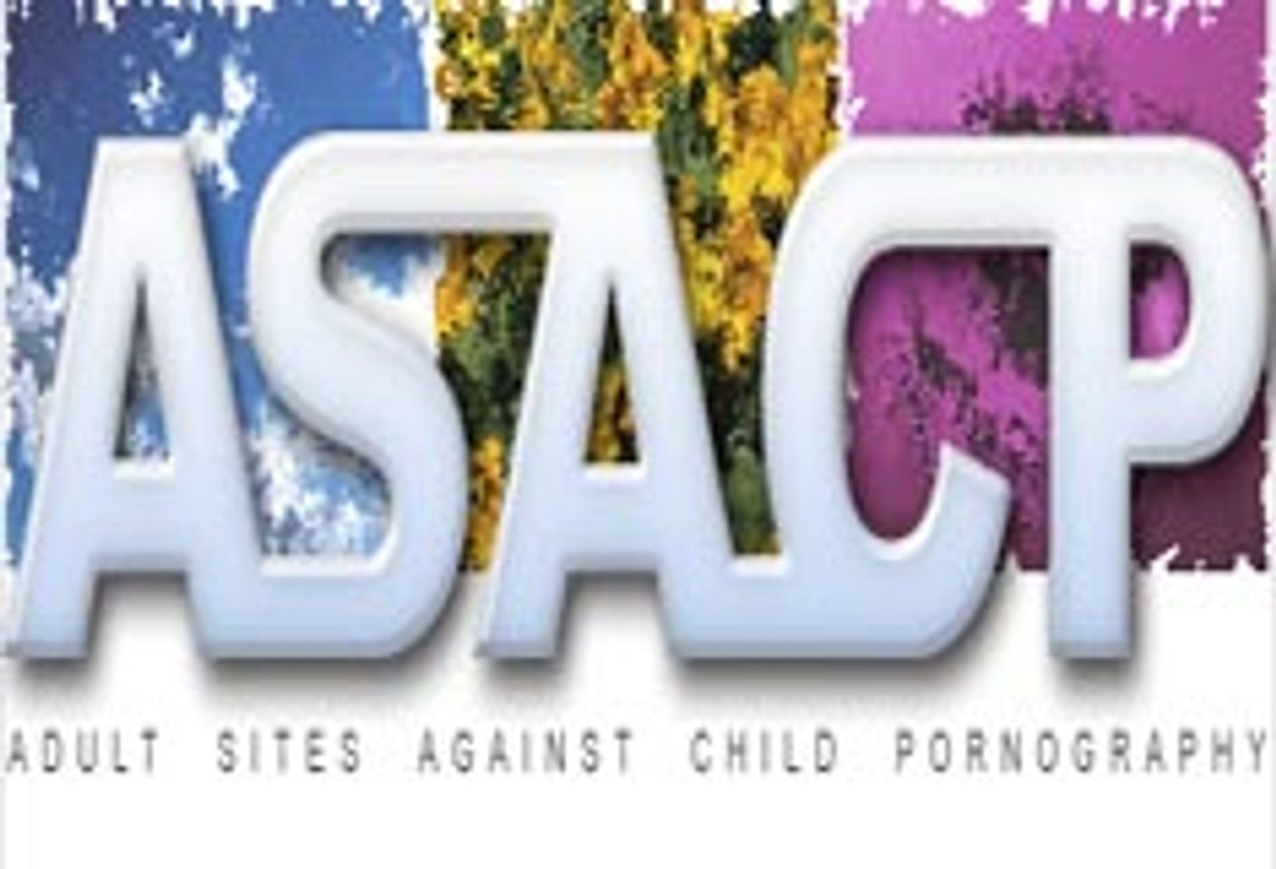 More Child Porn Reports "Sad Accomplishment": ASACP