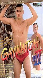 Gaywatch 2