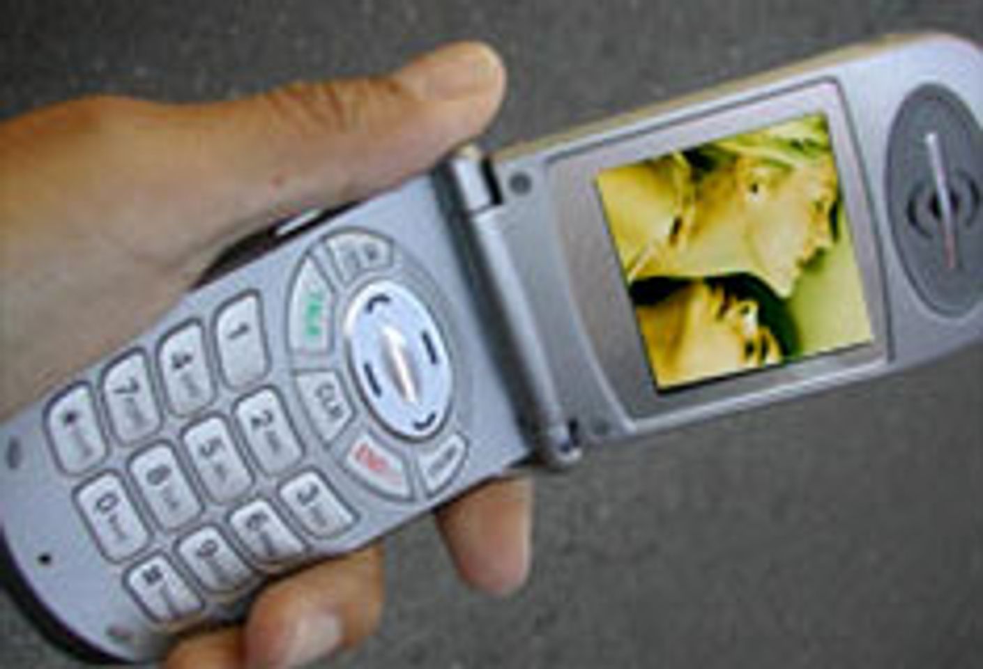 A Growing Privacy Issue: Camera Cell Phones