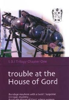 Trouble In The House Of Gord Avn