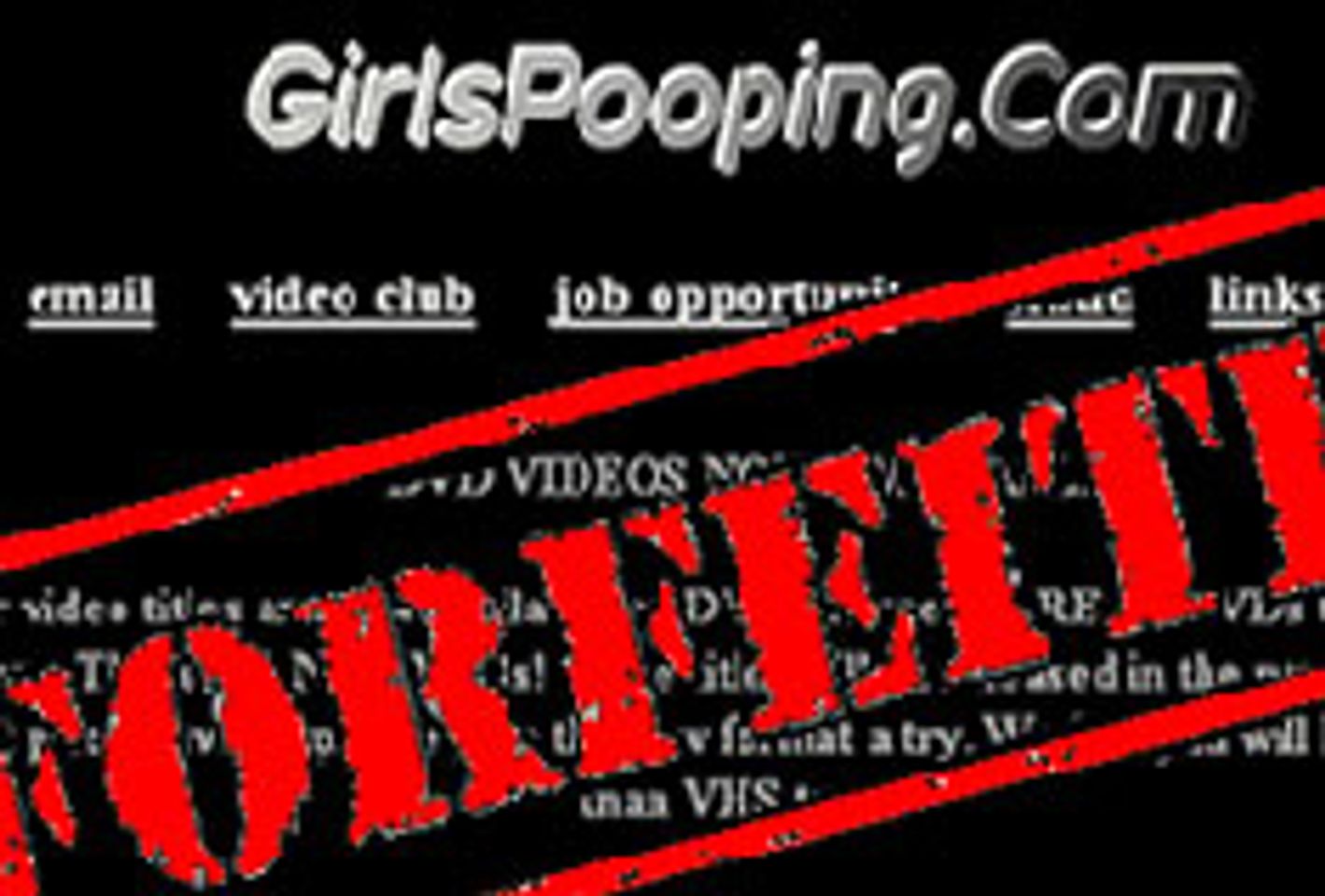 Jail Terms and Fines Issued For Internet Obscenity Case