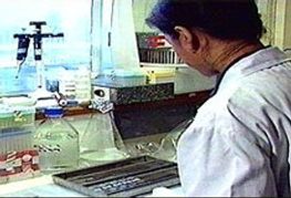 Vancouver Faces Syphilis Outbreak