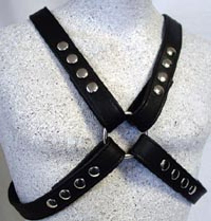 Half-Wide Harness