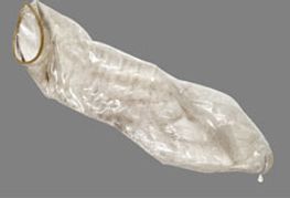 Clarification: Dynasty In First-Generation Only