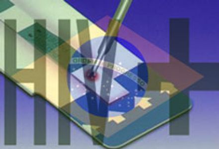 Brazil Shakes Over HIV Scare: Report