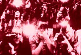 Connoisseur Management Seeks Next Adult Superstar