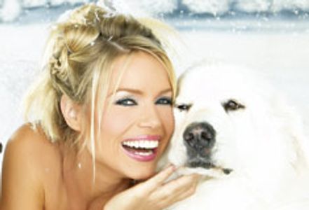 Winter Wonderland: An Interview with Anna-Marie Goddard