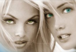 Island Fever 3 Available Now