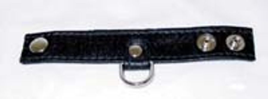 D-Ring Ballstretcher