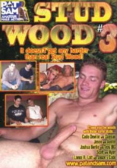 STUD WOOD 3