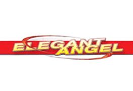 Elegant Angel Consolidates Sales Department