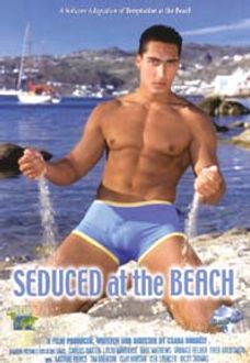 SEDUCED AT THE BEACH [D&D]