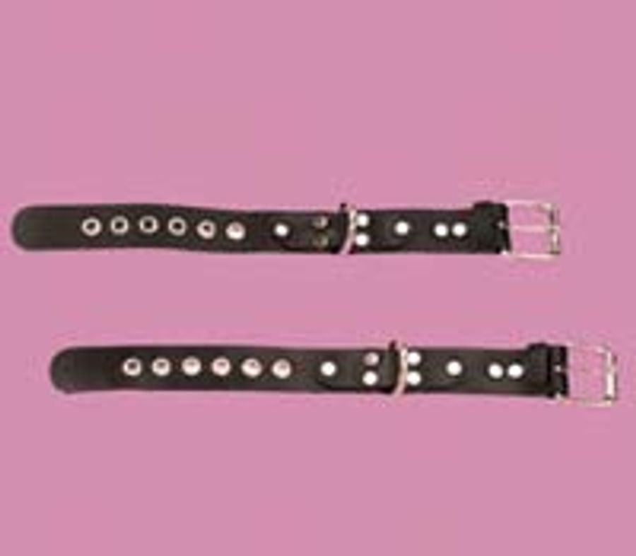 Eyelet Restraints