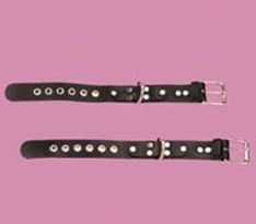 Eyelet Restraints