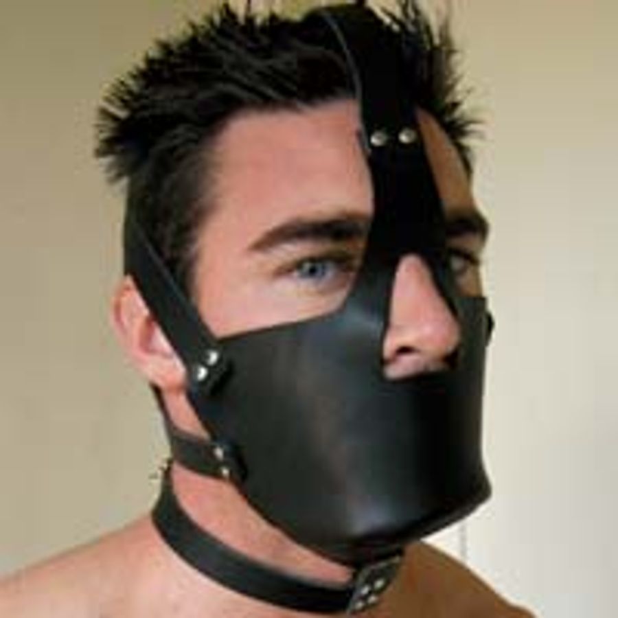 Leather Head Harness with Muzzle