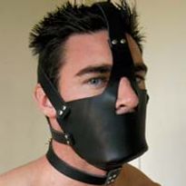 Leather Head Harness with Muzzle
