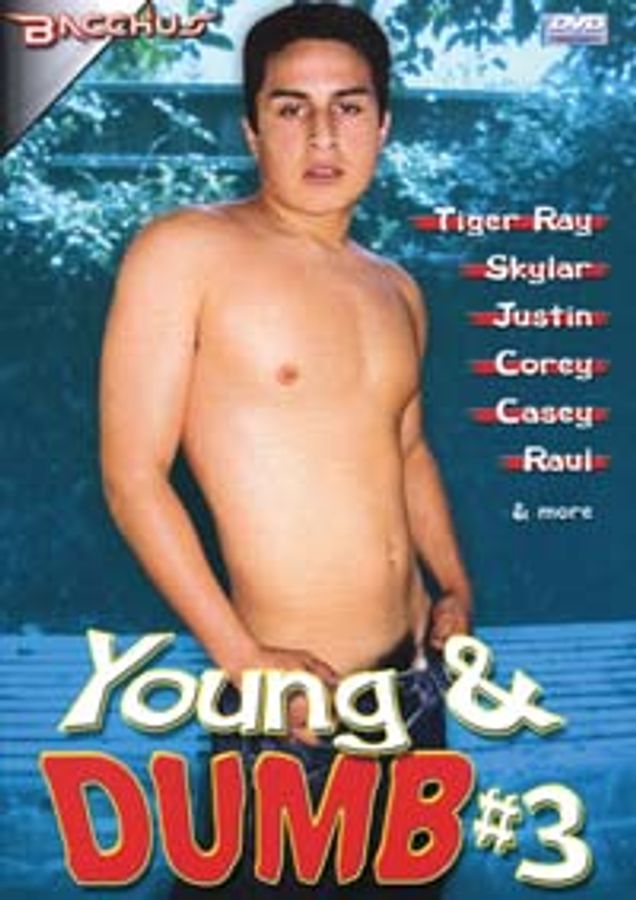 YOUNG & DUMB 3