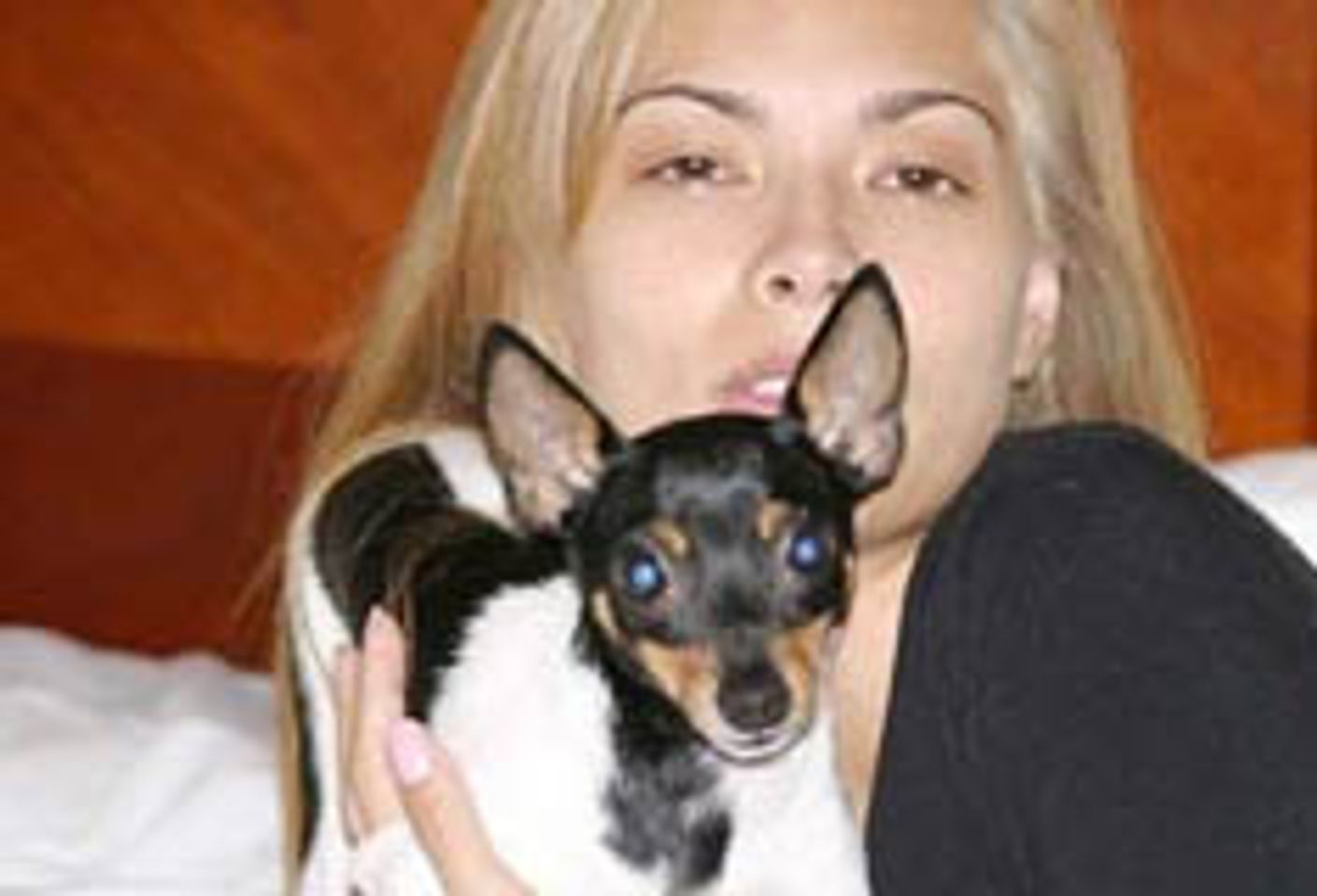 Tera Patrick Offers Reward for Return of Dog - Chopper