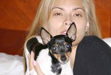 Tera Patrick Offers Reward for Return of Dog - Chopper
