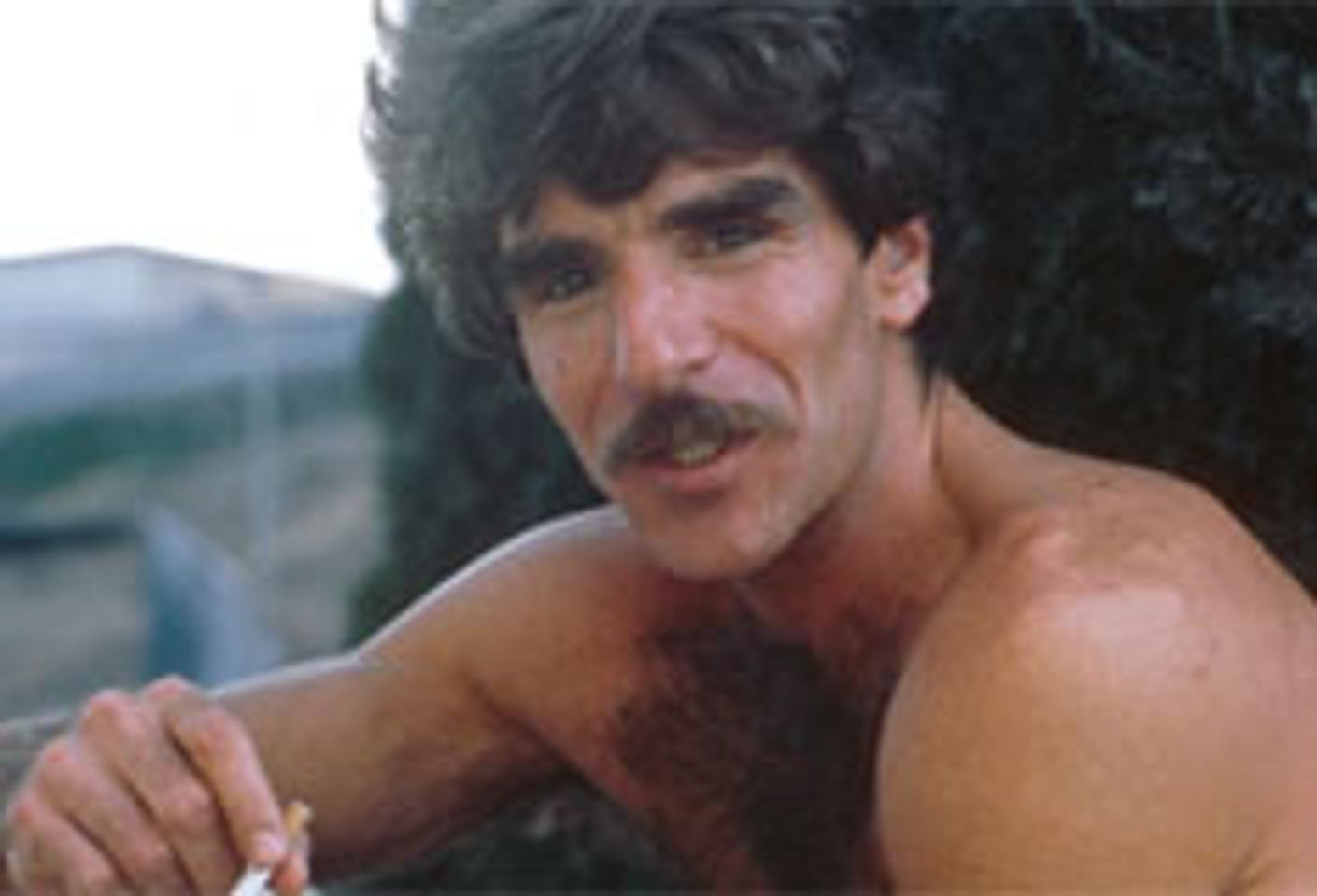 60s Porno Mustache - Ex-Porn Star Harry Reems Opens Up in Exclusive Interview | AVN