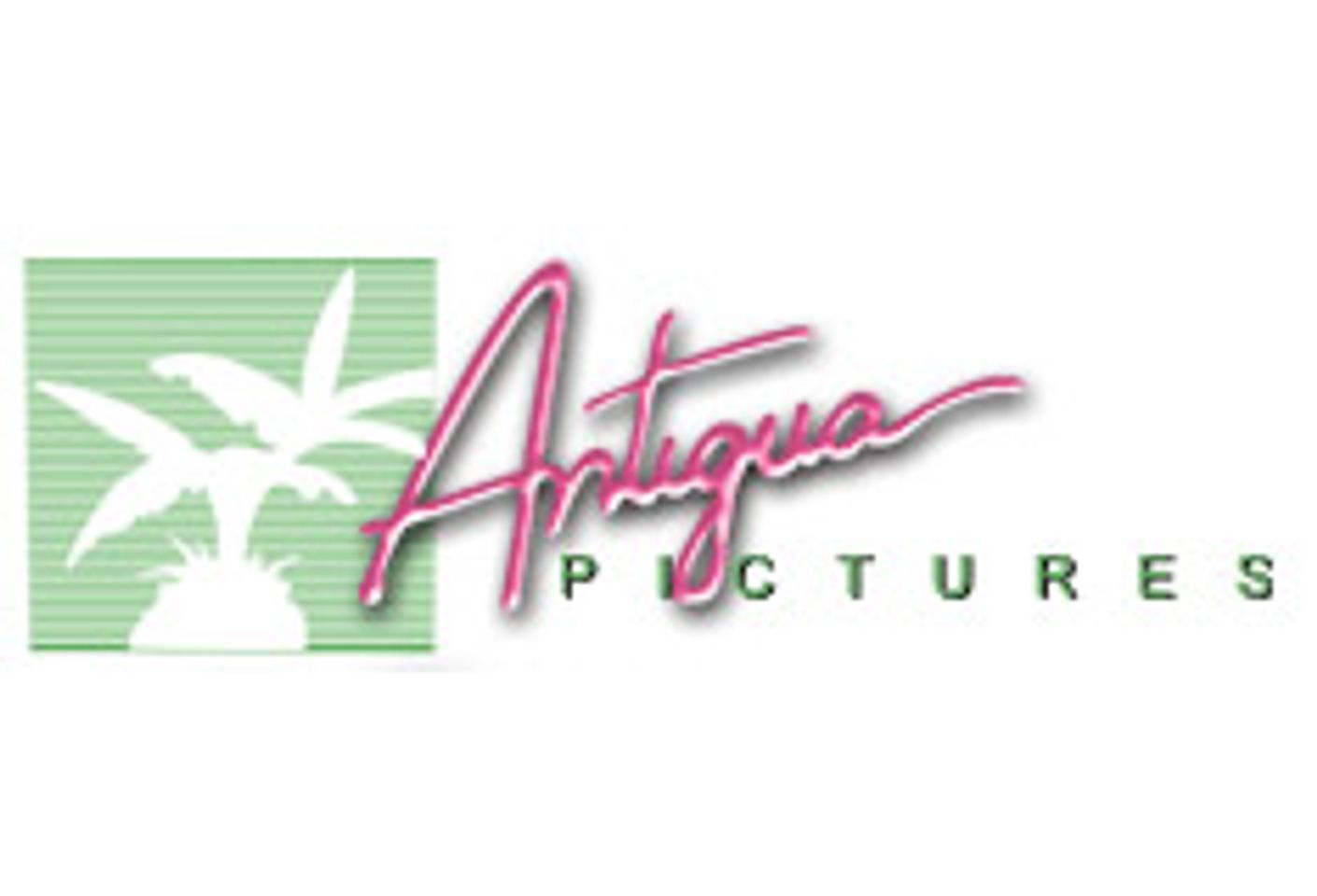 Antigua Searches for Directors