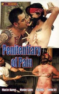 Penitentiary of Pain