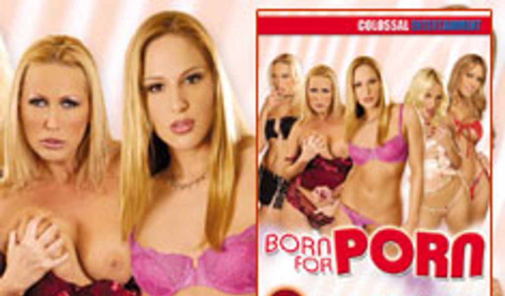 Born For Porn - Colossal Delivers <i> Born for Porn </i> | AVN