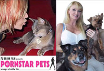 Porn Stars and the Animals That Love Them