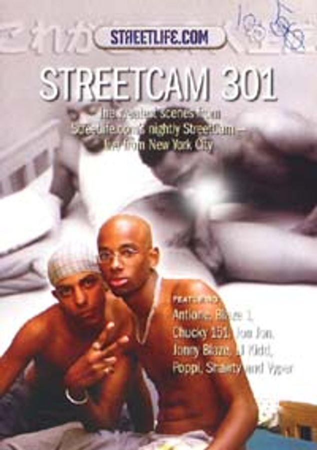 STREETCAM 301