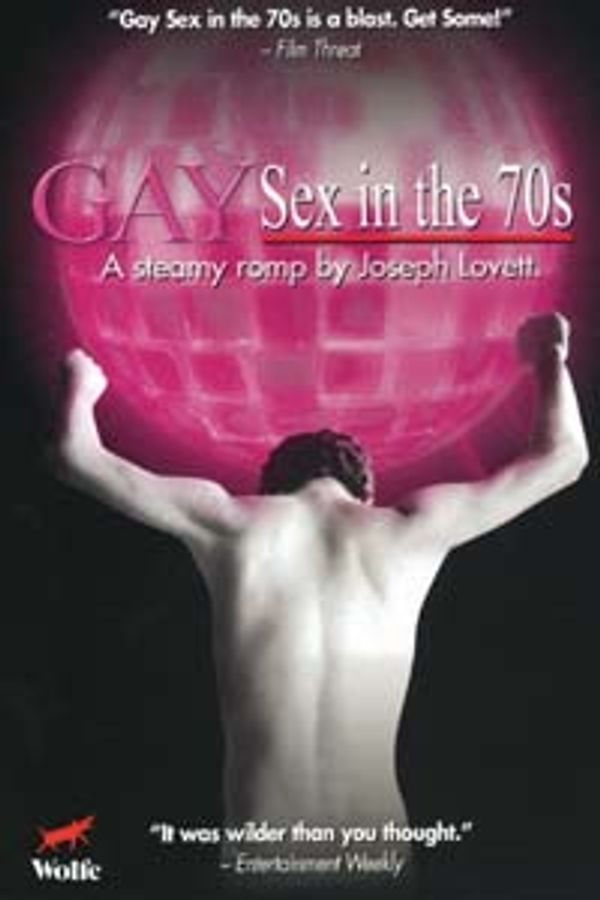 GAY SEX IN THE '70s