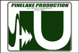 Denmark’s Pinelake Buys Stake in Satellite Company