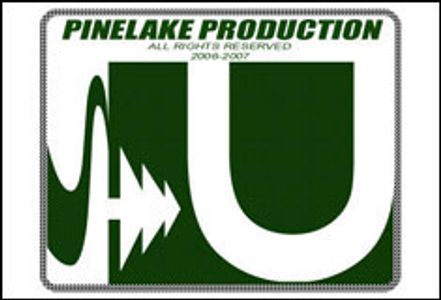 Denmark’s Pinelake Buys Stake in Satellite Company