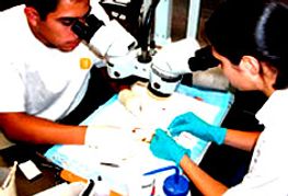 FDA Candidate Grilled over Morning-After Pill