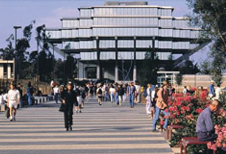 UC San Diego Students Ban Campus Porn