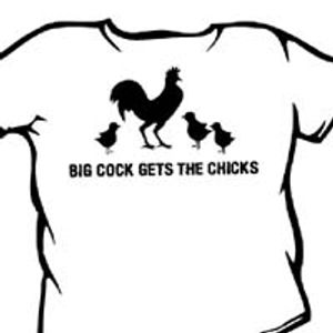 Big Cock Gets the Chicks