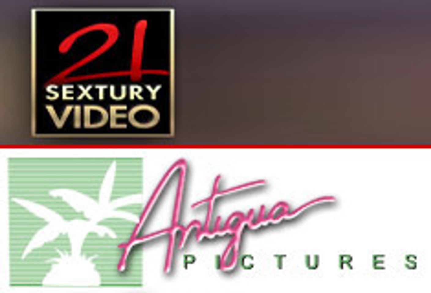 Antigua Pictures to Distribute 21st Sextury Video