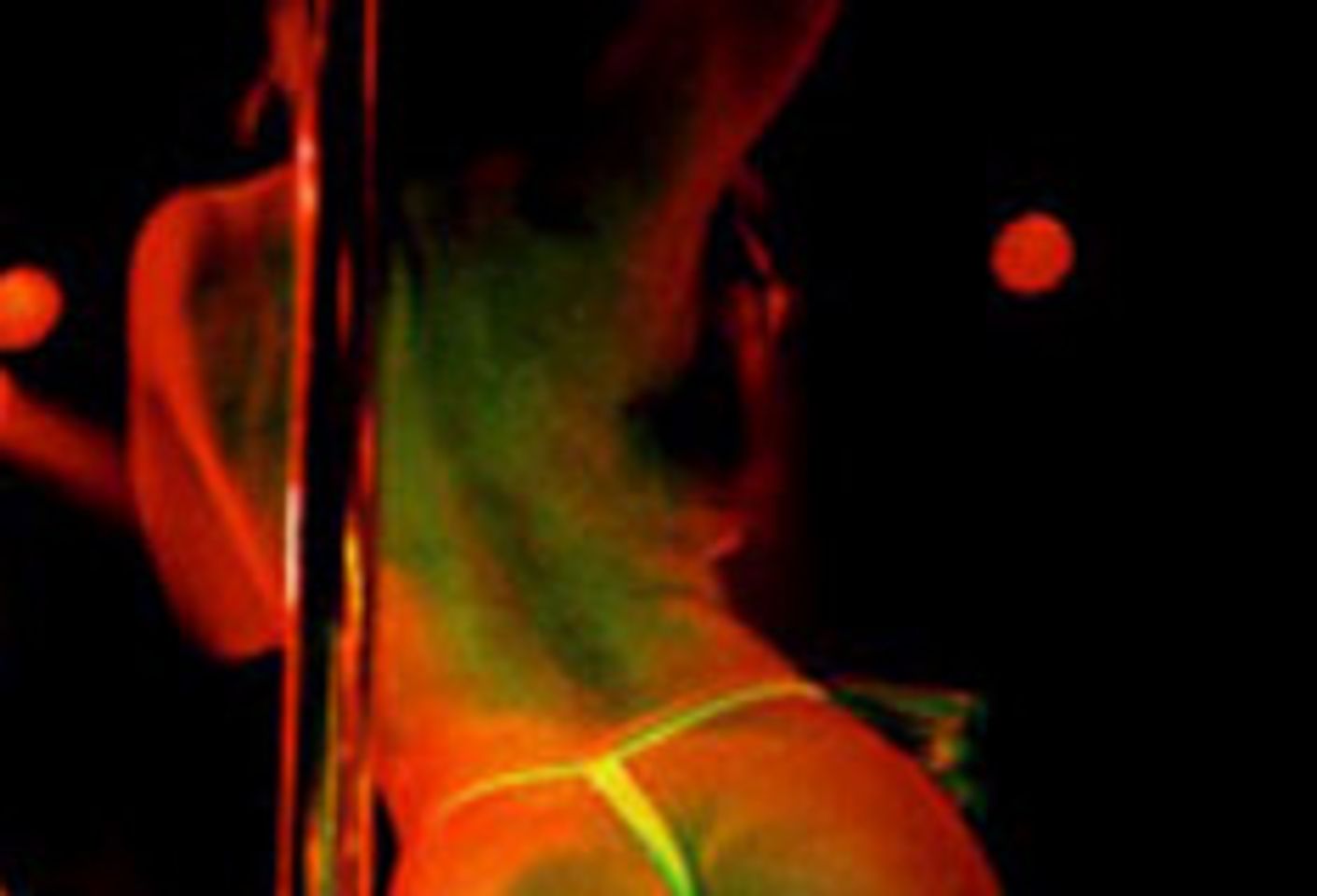 Referendum Committee Formed for Scottsdale Club Battle