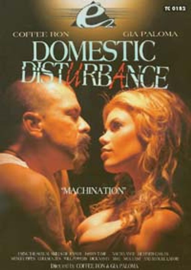 Domestic Disturbance