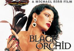 Sin City Releases Classics Collection