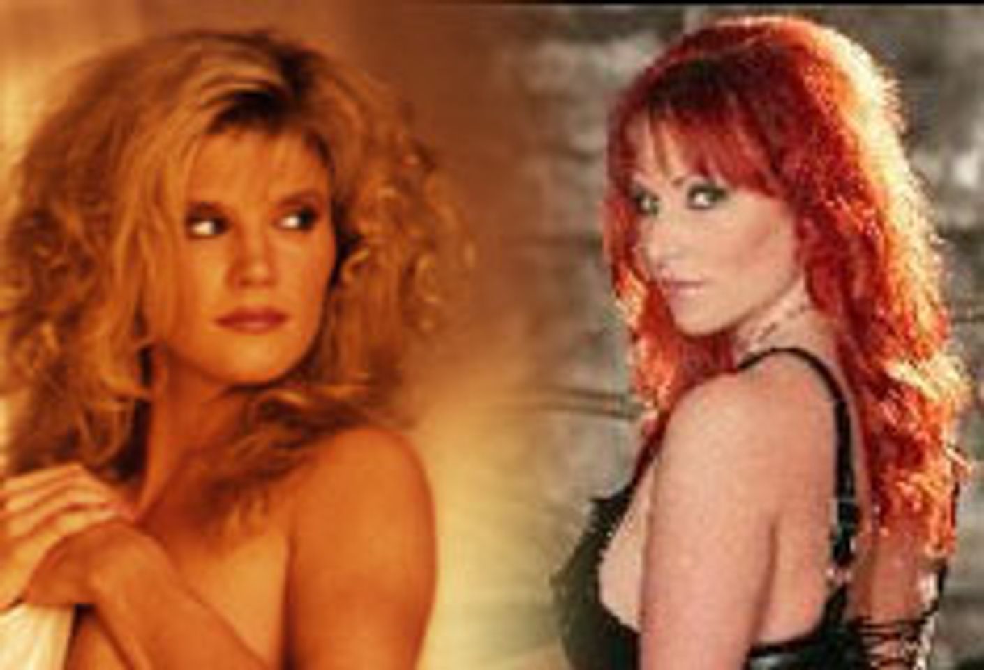 Ginger Lynn, Kylie Ireland Donate Date for Nicki Hunter