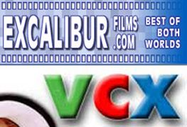 Excalibur Accuses VCX of Web Page, Image Infringement