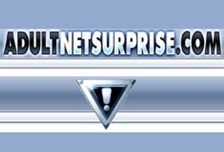 AdultNetSurprise "Free Fall" Hits YNOT Radio Weekly