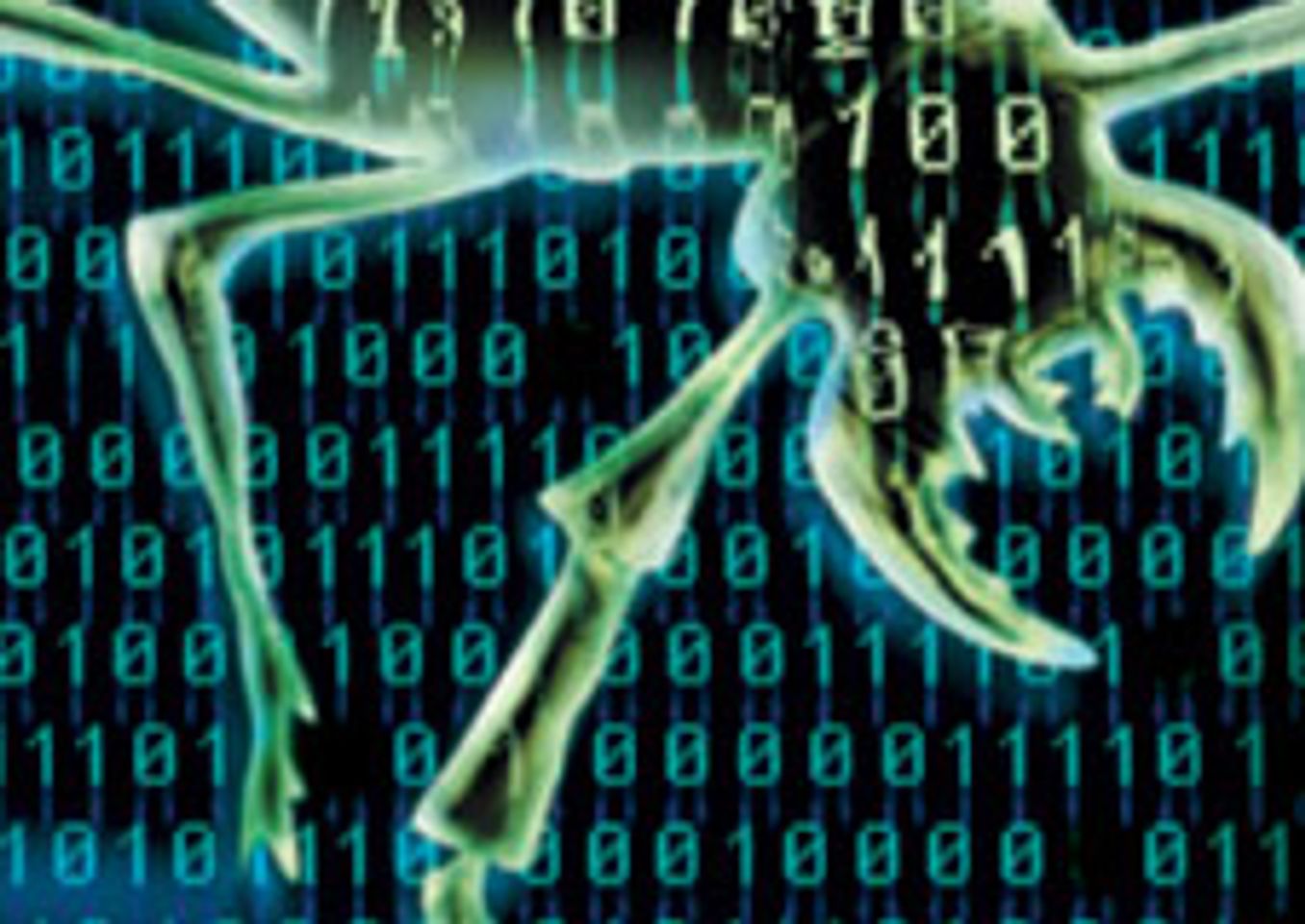 Firm: Netsky/Sasser Author Responsible for 70 Percent of '04 Viruses