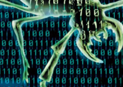 Firm: Netsky/Sasser Author Responsible for 70 Percent of '04 Viruses