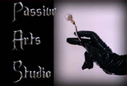 Passive Arts Studio Makes Video Debut & Launch Sites