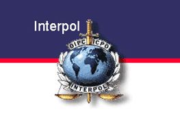 Interpol Reportedly Takes Charge of Irish Child Porn Database