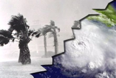 Adult Industry Rallies to Help Florida Hurricane Victim